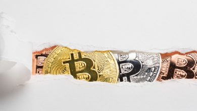 Coinbase’de Kripto Para Dolandırıcılığı Skandalı