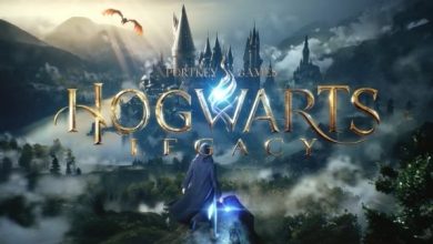 Hogwarts Legacy Oyununun Çıkış Tarihi Ertelendi!