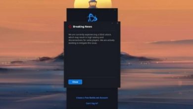 Blizzard DDoS Saldırısına Uğradı
