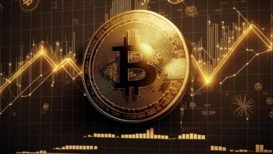 SUI ve PEPE Değer Kaybederken Bitcoin Sabit Kalıyor