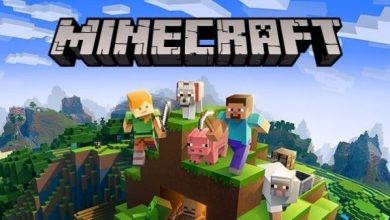 Minecraft Sunucusu Bitcoin Ödemelerini Sonlandırıyor