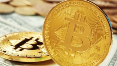 Solana Tabanlı BONK, En Büyük 46. Coin Oldu