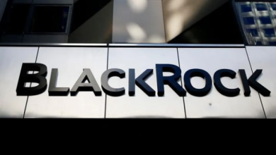 BlackRock Bitcoin ETF'si İçin 100.000 Dolarlık Tohum Fonu Aldı