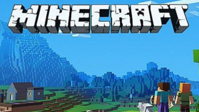 Minecraft, Worldcoin Entegrasyonunu Onayladı!