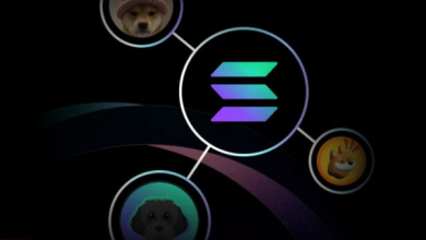 Solana Meme Coin Dogwifhat Bitget Listelemede Yükseliyor